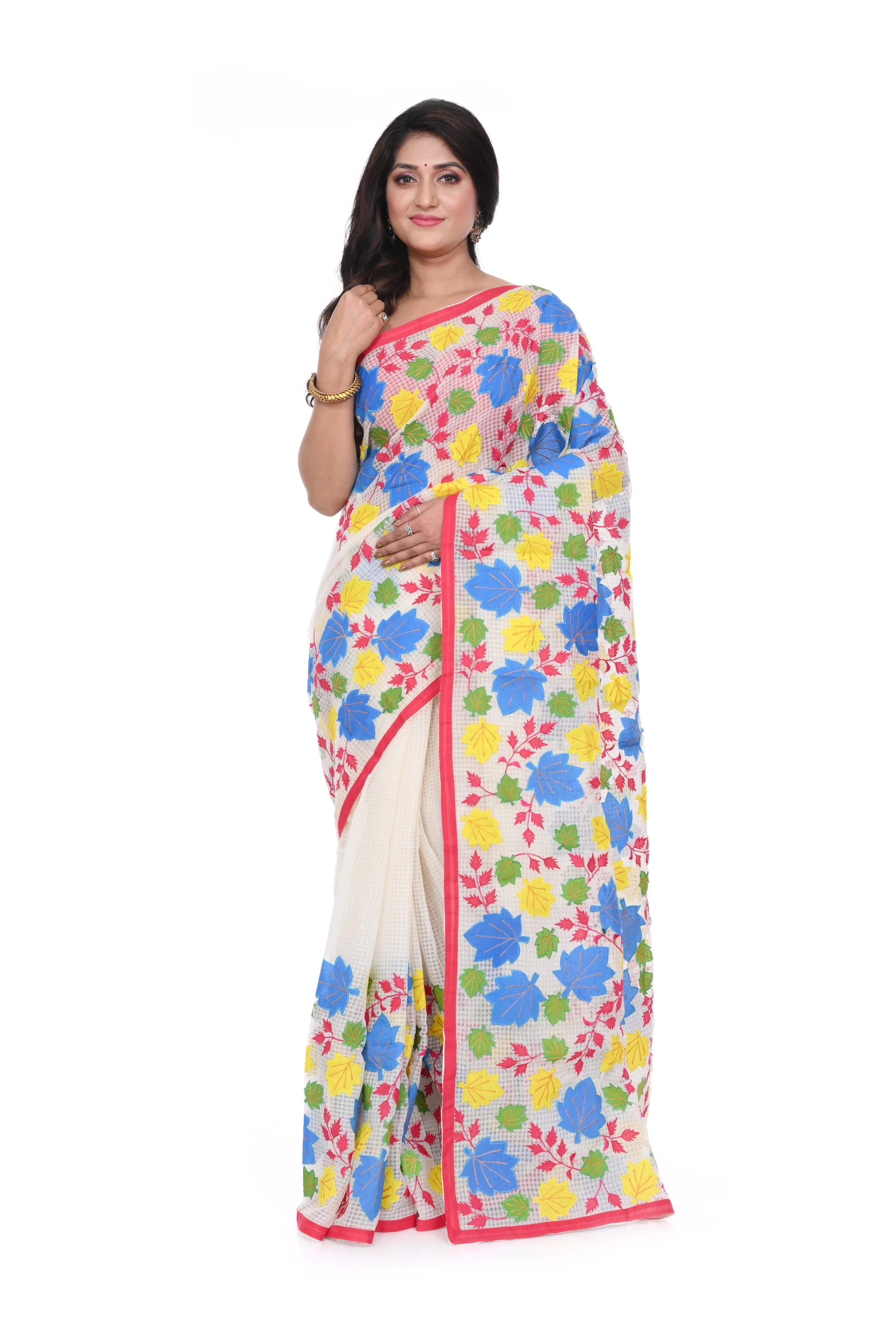 Multi Colour Appliqué on White Reshom Kota Saree